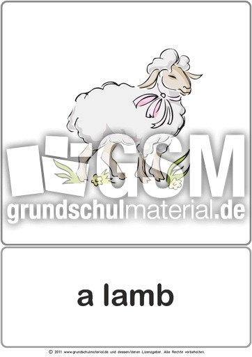 Bildkarte - lamb.pdf